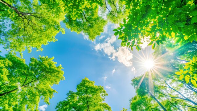 Ecology, Environment , Eco, Tree , Natural, Globe