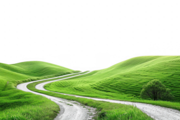 Curved Road Through Green Rolling Hills
