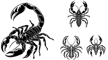 
vector isolated set of insect silhouettes,Hand drawn vector illustration