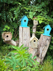 wooden bird house