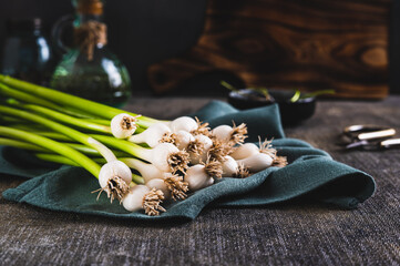 Stems of fresh sweet garleek on a cloth on the table
