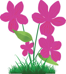 a pink flowers tree on grass vector