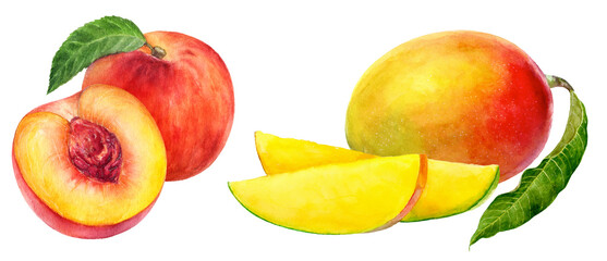 Watercolor illustration Peach and Mango Slices with Vibrant Leaves A Delicious and Fresh Fruit Combination