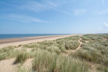 dune with seaweed by the sea