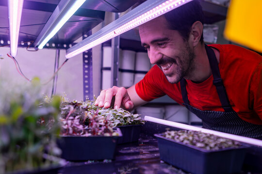 Man joyfully tending microgreens under LED lights