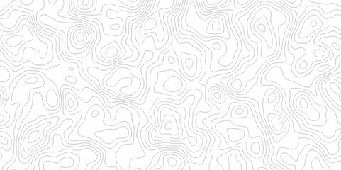 Vector white wave line geography landscape Topo contour map on white background. Geographic mountain relief diagram line wave carve pattern. Topographic world map contour lines map texture.