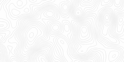 Vector white wave line geography landscape Topo contour map on white background. Geographic mountain relief diagram line wave carve pattern. Topographic world map contour lines map texture.