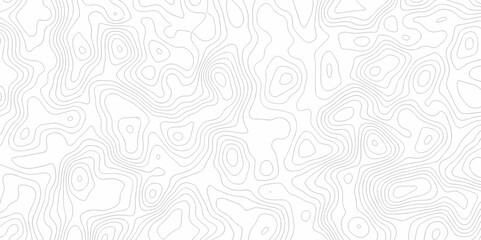 Vector white wave line geography landscape Topo contour map on white background. Geographic mountain relief diagram line wave carve pattern. Topographic world map contour lines map texture.
