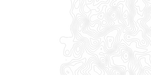 Vector white wave line geography landscape Topo contour map on white background. Geographic mountain relief diagram line wave carve pattern. Topographic world map contour lines map texture.