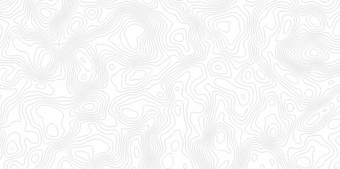Vector white wave line geography landscape Topo contour map on white background. Geographic mountain relief diagram line wave carve pattern. Topographic world map contour lines map texture.