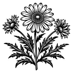 illustration of a flower,flower, floral, vector, 