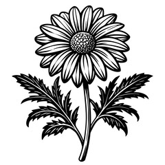 illustration of a flower,flower, floral, vector, 
