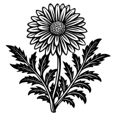 illustration of a flower,flower, floral, vector, 