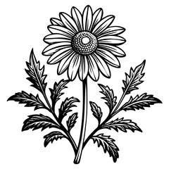 illustration of a flower,flower, floral, vector, 