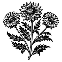 illustration of a flower,flower, floral, vector, 