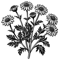 illustration of a flower,flower, floral, vector, 