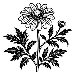 illustration of a flower,flower, floral, vector, 