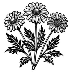 illustration of a flower,flower, floral, vector, 