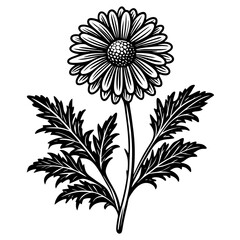 illustration of a flower,flower, floral, vector, 