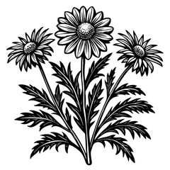 illustration of a flower,flower, floral, vector, 