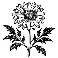 illustration of a flower,flower, floral, vector, 
