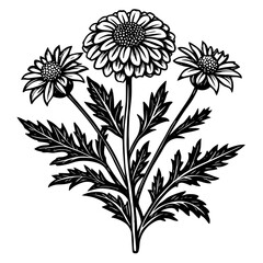 illustration of a flower,flower, floral, vector, 