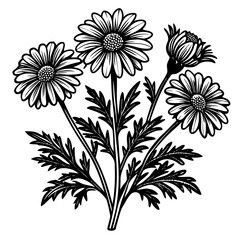 illustration of a flower,flower, floral, vector, 