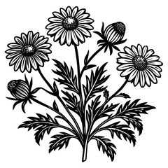 illustration of a flower,flower, floral, vector, 