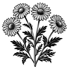 illustration of a flower,flower, floral, vector, 