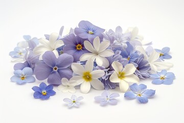 Delicate blue and white flowers arranged in a soft serene display