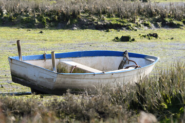 Closeup of a barred fishing boat in the marsh