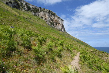 Climbing path through ferns towards Mount Candina