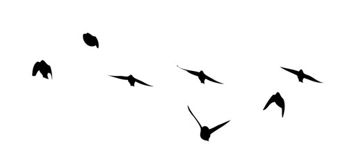 Flying birds silhouette flock. hand drawing. Not AI, Summer vector illustration