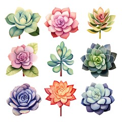 Fototapeta premium A colorful collection of nine succulent illustrations. Each succulent showcases unique shapes and vibrant hues, perfect for creative projects.
