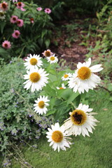 flower park 