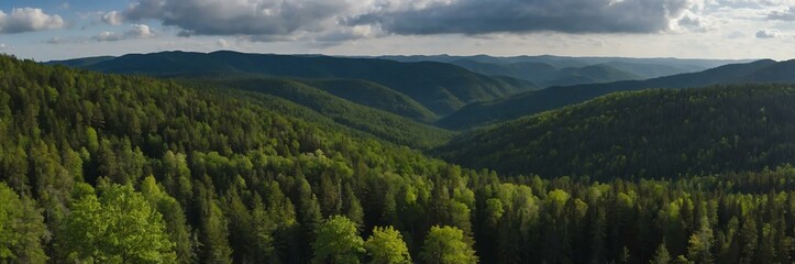 Obraz premium detailed panoramic view of a forest range background