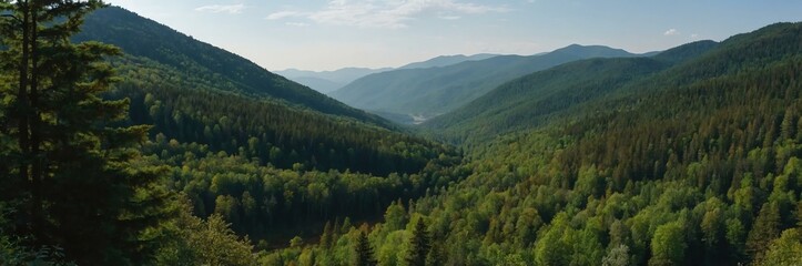Fototapeta premium detailed panoramic view of a forest range background