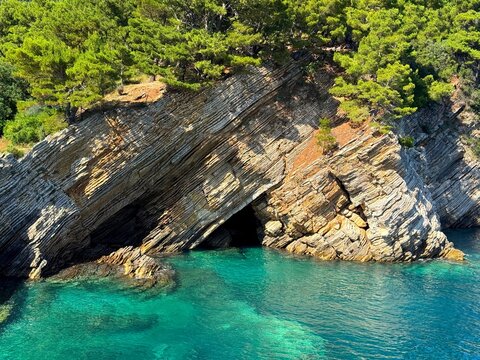 Adriatic sea and layered rocks overgrown pine trees
