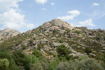 Fototapeta premium View of La Pedriza in Madrid Spain 11