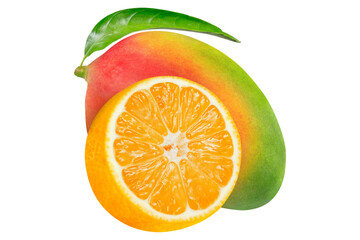 Isolated mango. Fresh organic mango isolated