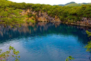 cenote lake in the forest