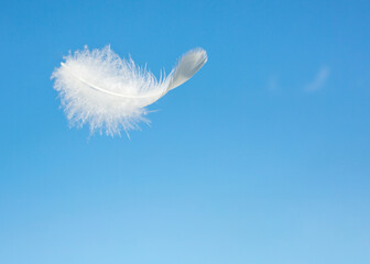 A white feather flies against the blue sky