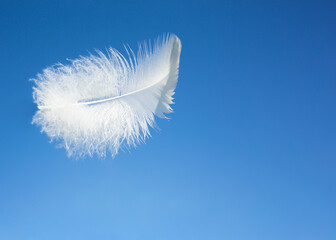A white feather flies against the blue sky
