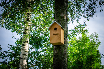 a bird nesting box hanging on a tree