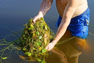 Fototapete bei efototapeten.de bestellen   