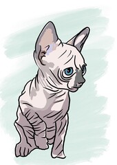 fat cat sitting on the floor