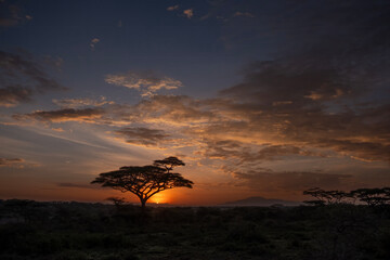 Fototapeta premium Ndutu Sunrise