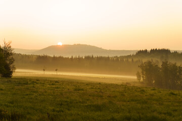 Golden Mist Envelops the Forest at Sunrise