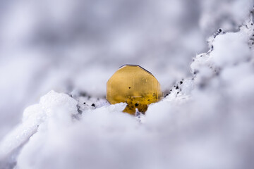 Green brown fayalite on white Cristoballite, with black magnetite. Micro photography extreme...