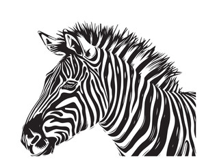 zebra black and white illustration